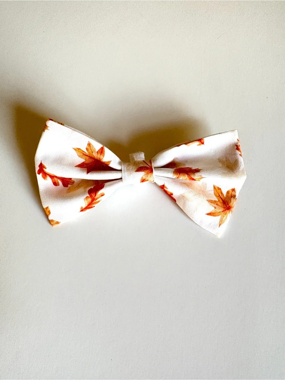 Autumn Bow for Dogs